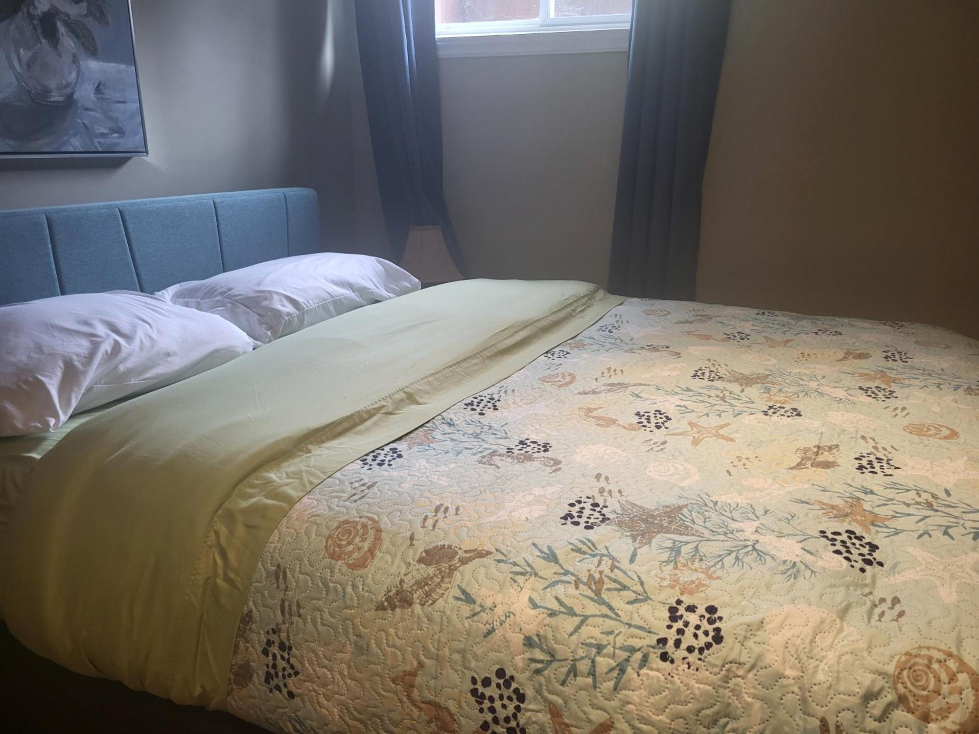 May Flowers Kingston Kamer foto